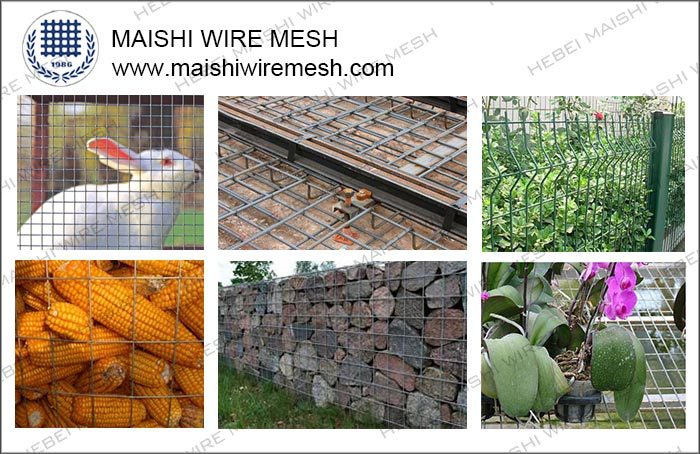 Welded Wire Mesh