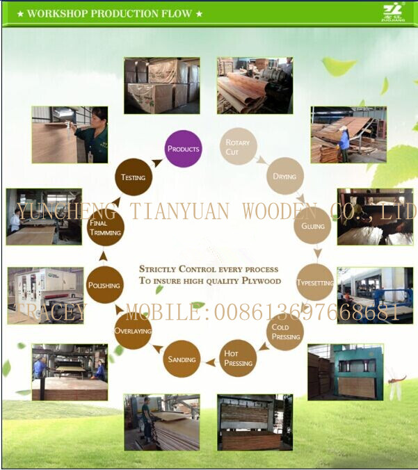 Bintangor Commercial Plywood