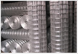 Galvanized Welded Wire Mesh Anping Factory