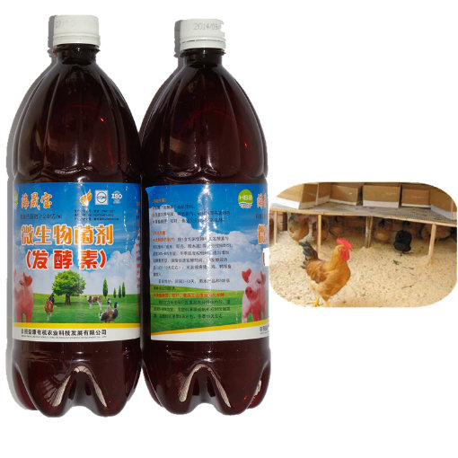 Seaweed Microbial Organic Inoculant for animal Fermentation Bed