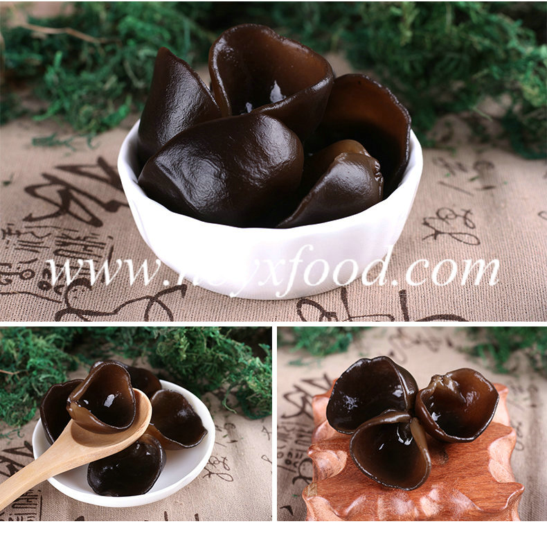 Dried Black Fungus/Cloud Ear/Wood Ear/Edible Vegetable with Independent Gift Box