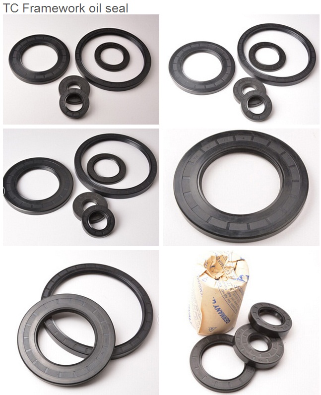 Tc Oil Seal/ Framework Oil Seal