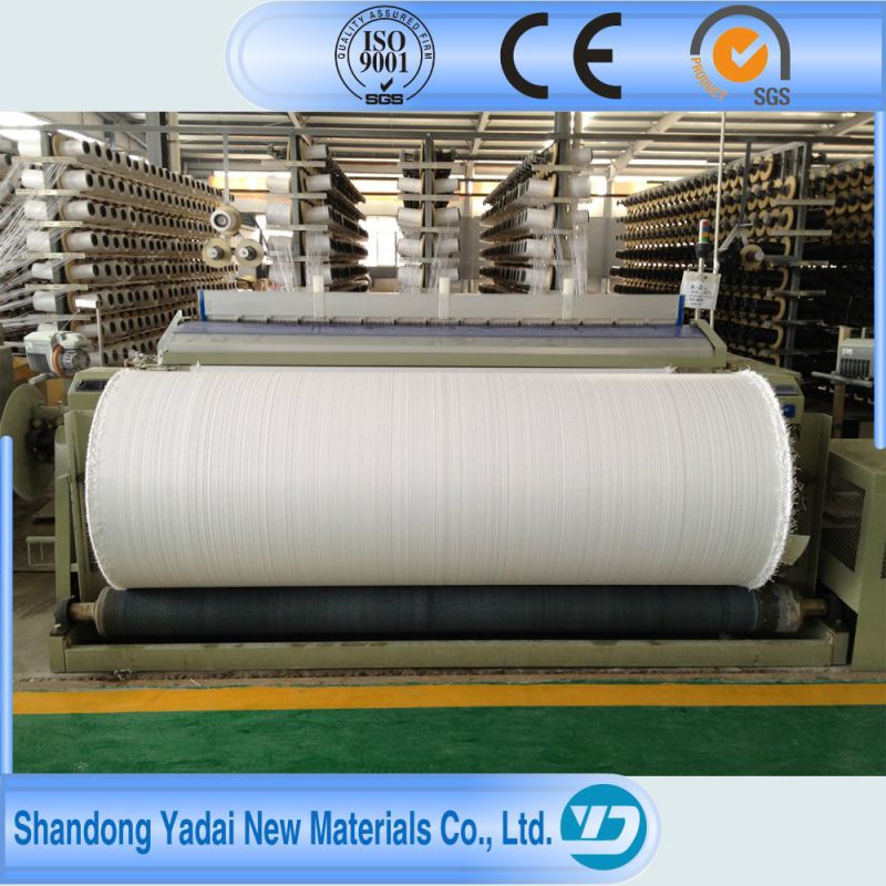 PP Woven Geotextiles by Professional Factory in China Geotextile Nonwoven