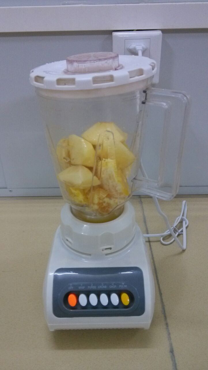 High Quality Blender Bl-999 3in1 300W