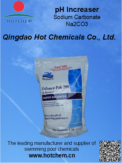 Low Price Swimming Pool Chemicals Sodium Carbonate Soda Ash Light and Dense