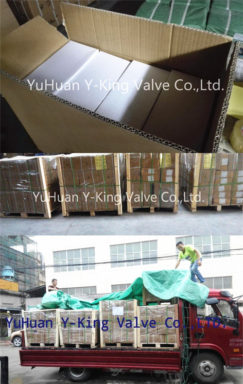 Taizhou Yuhuan 1/2 Inch Brass Angle Valve (YD-5036)