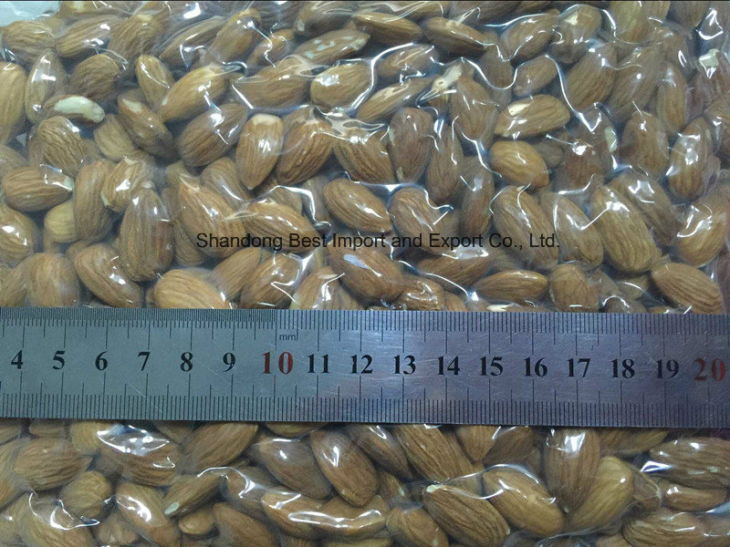 2016 Dried Raw Sweet Almond