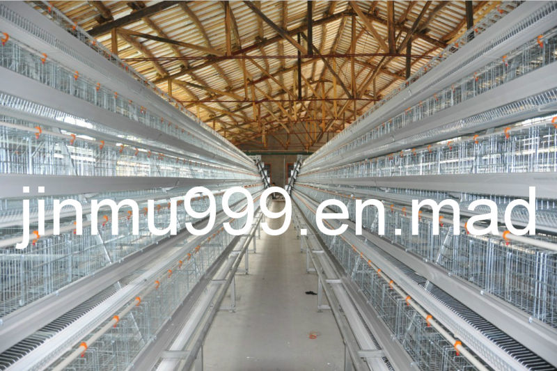 Poultry Equipment Layer Broiler Chicken Cage Made in China