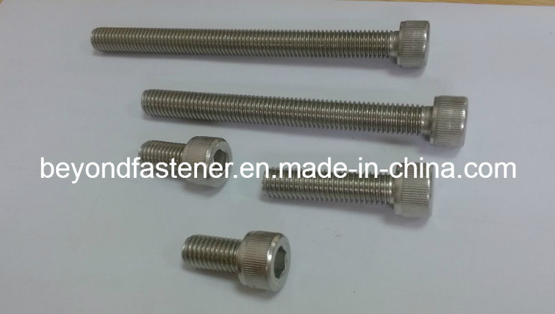 Bolts 316 Bolt Ss Bolts Screw