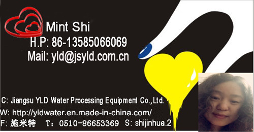 Y Type Brush Filter Water Treatment Equipment with Manual Drive