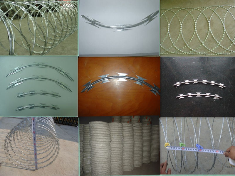 Protection Concertina Razor Wire Fence (BTO-22)