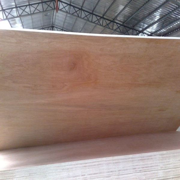 Standard Size 4*8 Feet Bintangor Plywood Price