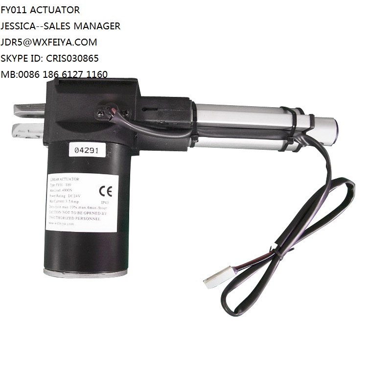 DC Electric Linear Actuator Kits with Control Box and Handsets 6000n (FY011B)