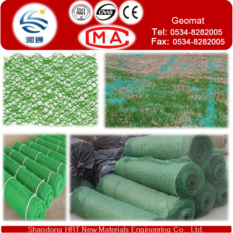 Protecting Vegetation Plastic Geomat to Fixed Water and Soil