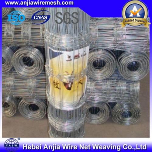 Galvanized Knotted Wire Mesh Cattle Fence Using in Herd, Field Fence, Fixed Fence