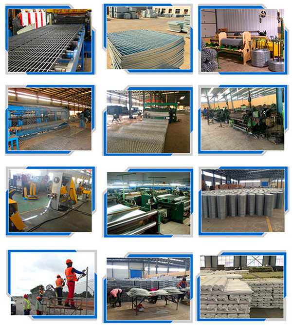 Direct Factory of Galvanized / PVC Coated Welded Wire Mesh with Lower Price