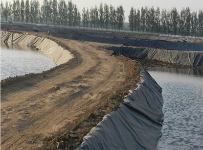 HDPE Geomembrane HDPE Pond Liner Fish Farm Pond Liner