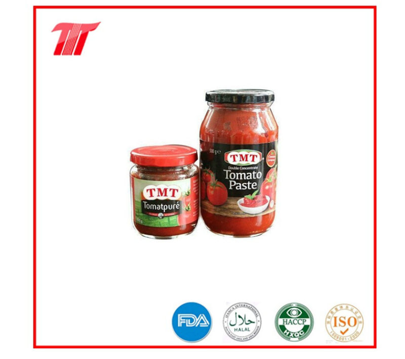 Double Concentrated Tomato Paste in Tins, Sachet, Glass Jar Packaging 70 G to 4.5 Kg