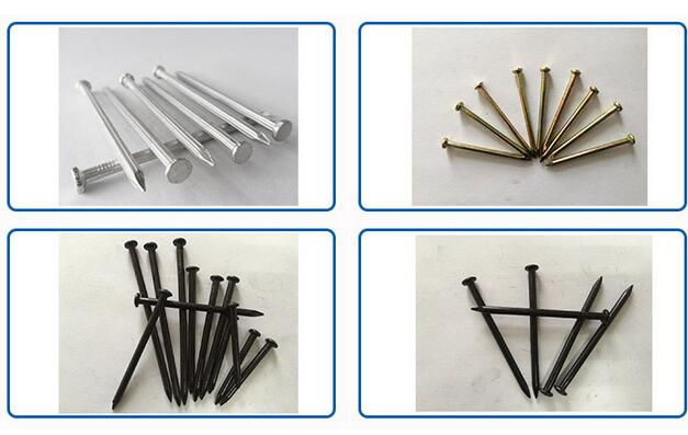 Standard Nails Supplies Zinc Galvanized Iron Concrete Nails