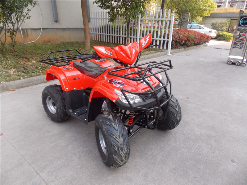 New Cheap 110cc ATV