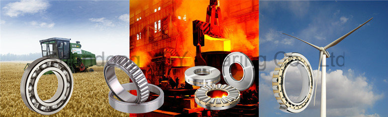 Customizable 6021 Deep Groove Ball Bearing