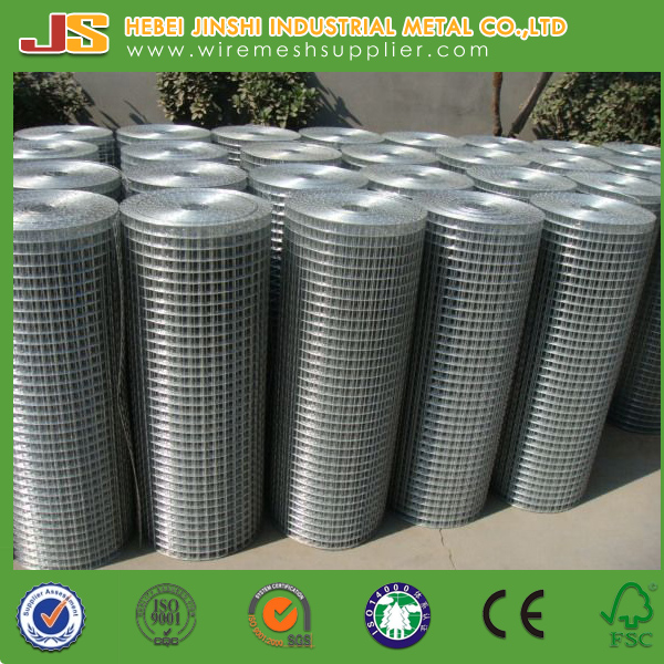 1/4 Inch Galvanized Welded Wire Mesh Roll for Us Market