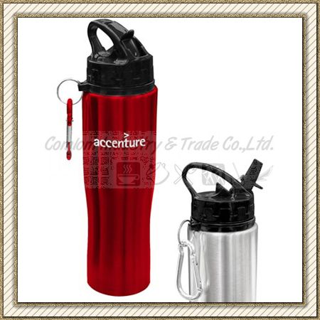 Stainless Steel Water Bottle with Lid (CL1C-G108)