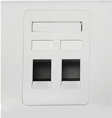 86 Type Dual Port Ethernet Network Cat5e CAT6 Wall Faceplate