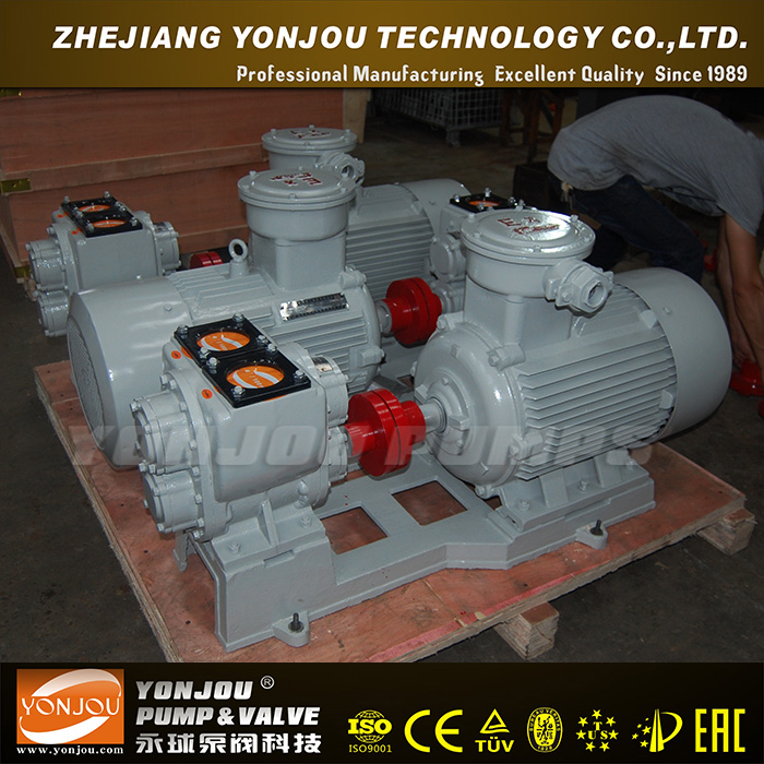 Single-Stage Double Suction Water Centrifugal Pump