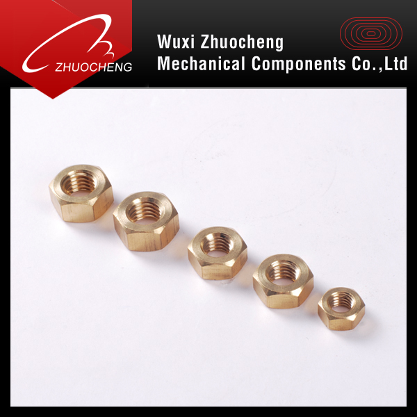 Brass Fastener Nut