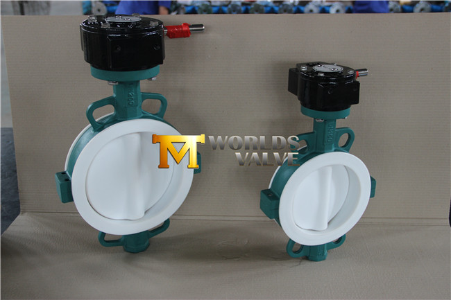 Full PFA Coating Wafer Type Butterfly Valve with Ce ISO Wras Approved (CBF04-TA01)