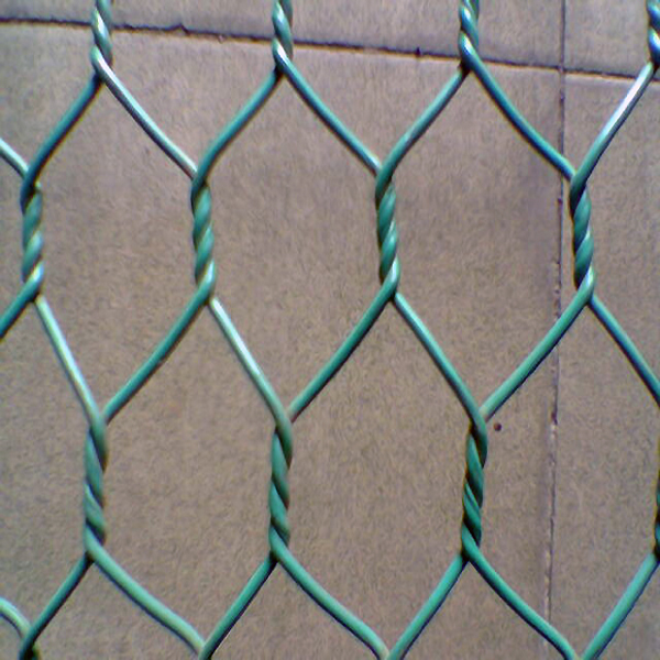 Chicken Wire / Galvanized Hexagonal Iron Wire Netting