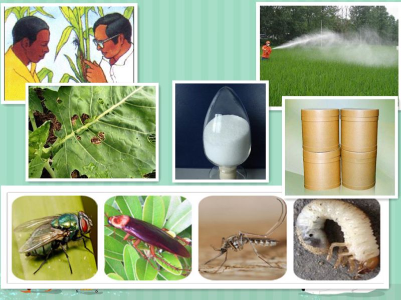 Mosquito Larvicide Ddvp Pesticide Insecticide Dichlorvos