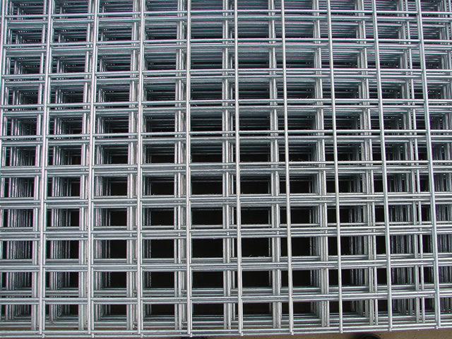 Galvanized Welded Wire Mesh Panel in Chinna