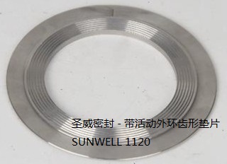 Kammprofile Gasket with Loose Outer Ring