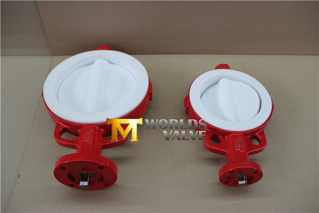 Full PTFE Coated Wafer Butterfly Valve with Bare Stem (CBF04-TA01)