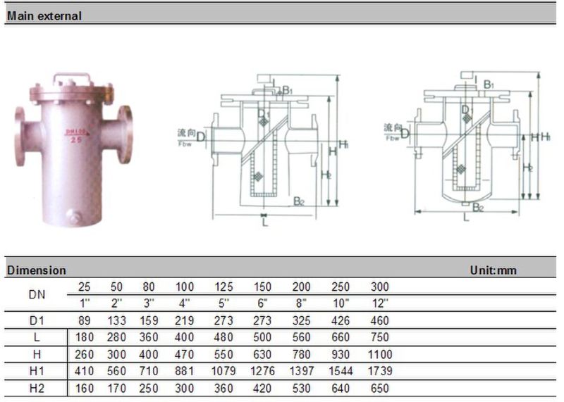 Cast Steel with Painting Basket Type Strainer