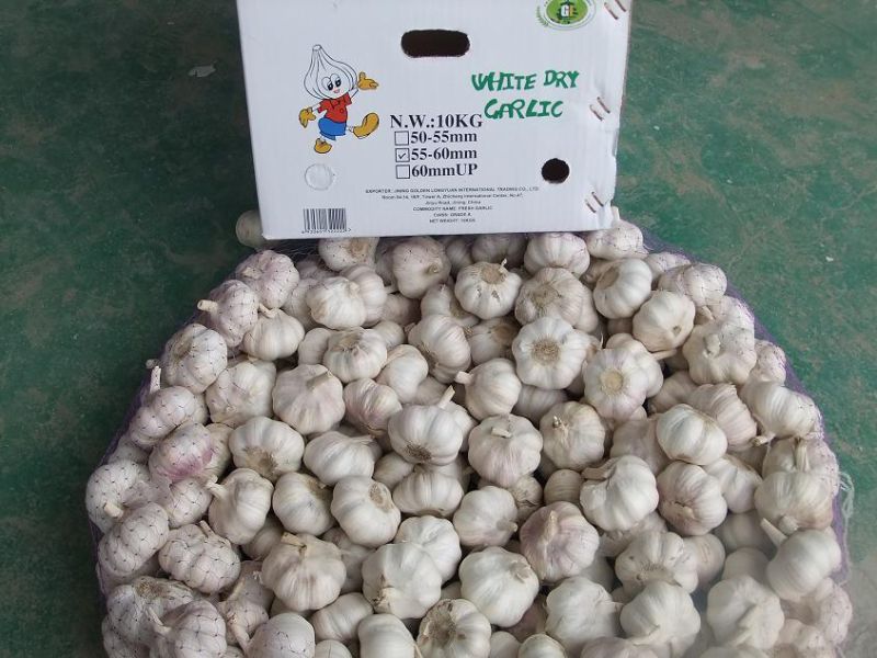 10kg Carton of Fresh White Garlic