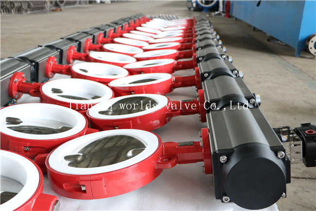 Split Body Wafer Type Butterfly Valve with Polishing Disc (CBF04-TA01)