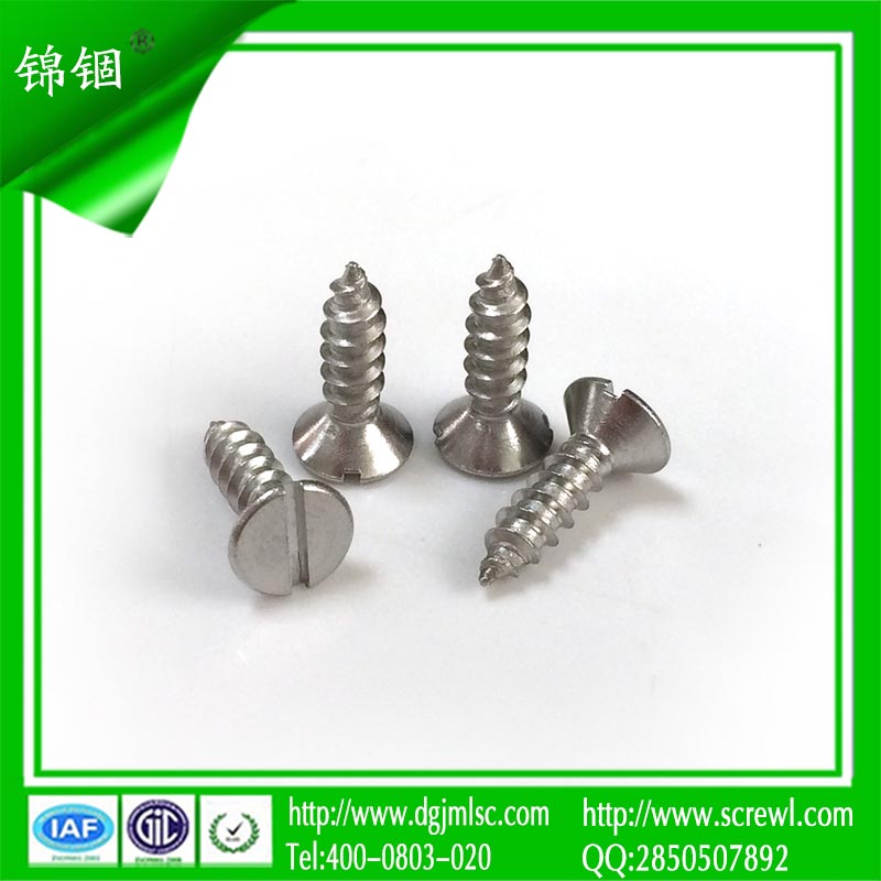 Widely Used Slotted Flat Head Self Tapping Screw