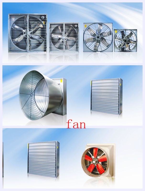 50 Box Fan in Poultry House From Super Herdsman