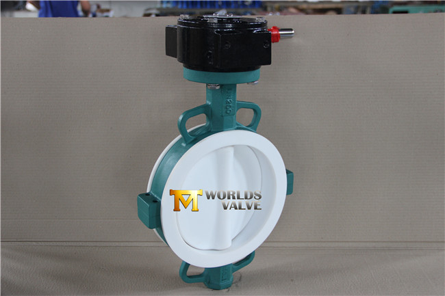 Full PTFE Lining Wafer Type Butterfly Valve with Ce ISO Wras Approved (CBF04-TA01)