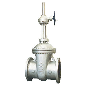 OS&Y API 600 Stainless Steel Gate Valve