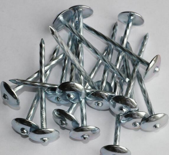 High Quality Umbrella Roofing Nails From China