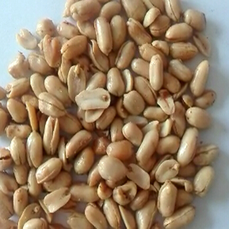 Roasted or Salted Peanut Kernels Groundnut Kernel