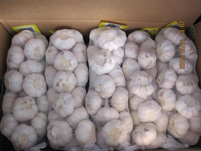 Reliable Supplier for Pure White Garlic (5.5cm and up)