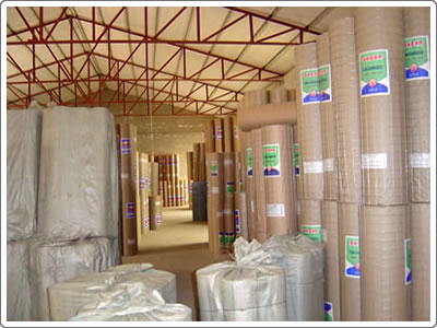 Electric Galvanized Welded Wire Mesh