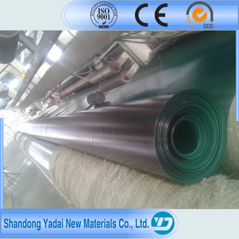 Top Quality High Density Polyethylene HDPE Geomembranes Membrane