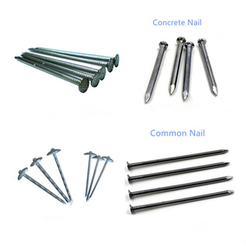 High Quality Galvanized Plain Head Roofing Nails
