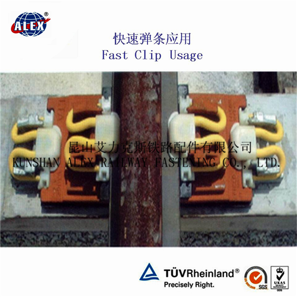 High Tension Rail Fixing Clips for Railway